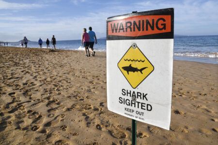 Search ends for missing snorkeler in South Maui